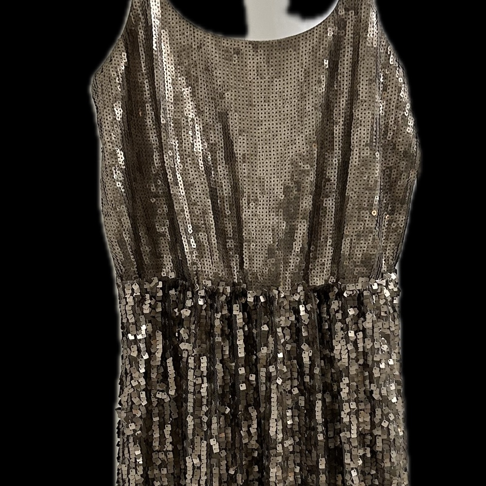 NWT Express Sequined Mini Dress Perfect For Holidays Size XS - Picture 9 of 12